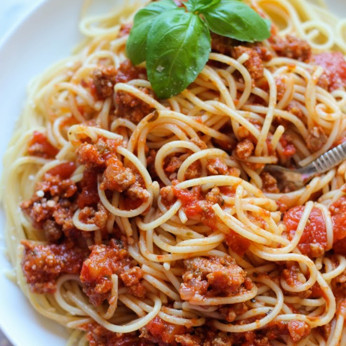 Slow cooker spaghetti sauce recipe