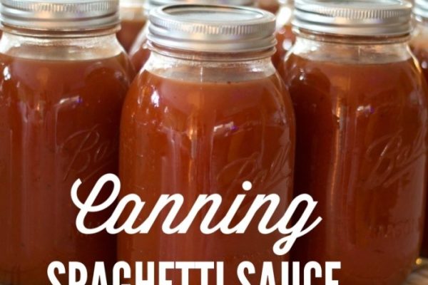 Recipes for spaghetti sauce for canning